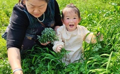 楚王妃全文免费下载